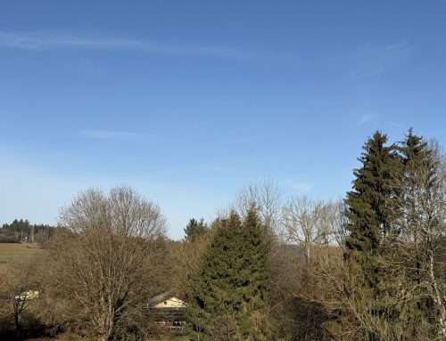 Einen wunderschönen guten Morgen