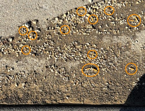 Pünktlich zum Earth Day 2025