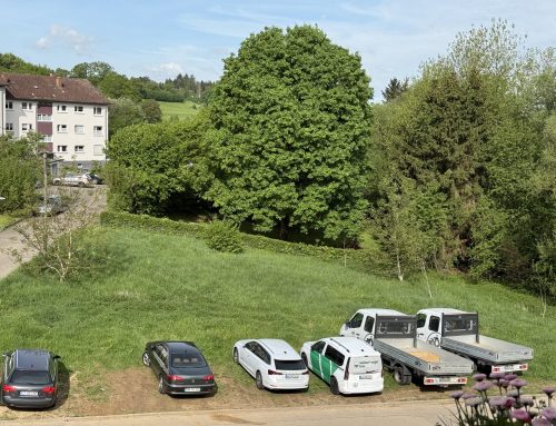 Wo parken die einzigen Menschen, die arbeiten?