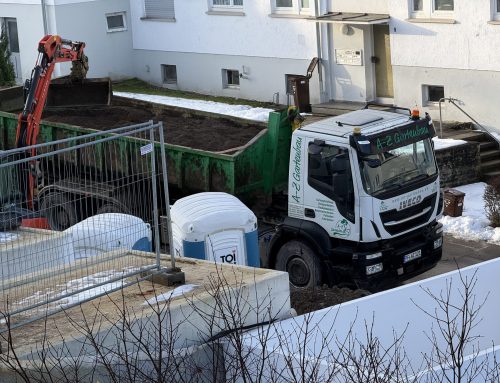 Samstag, den 31.01.26, 9.20 Uhr